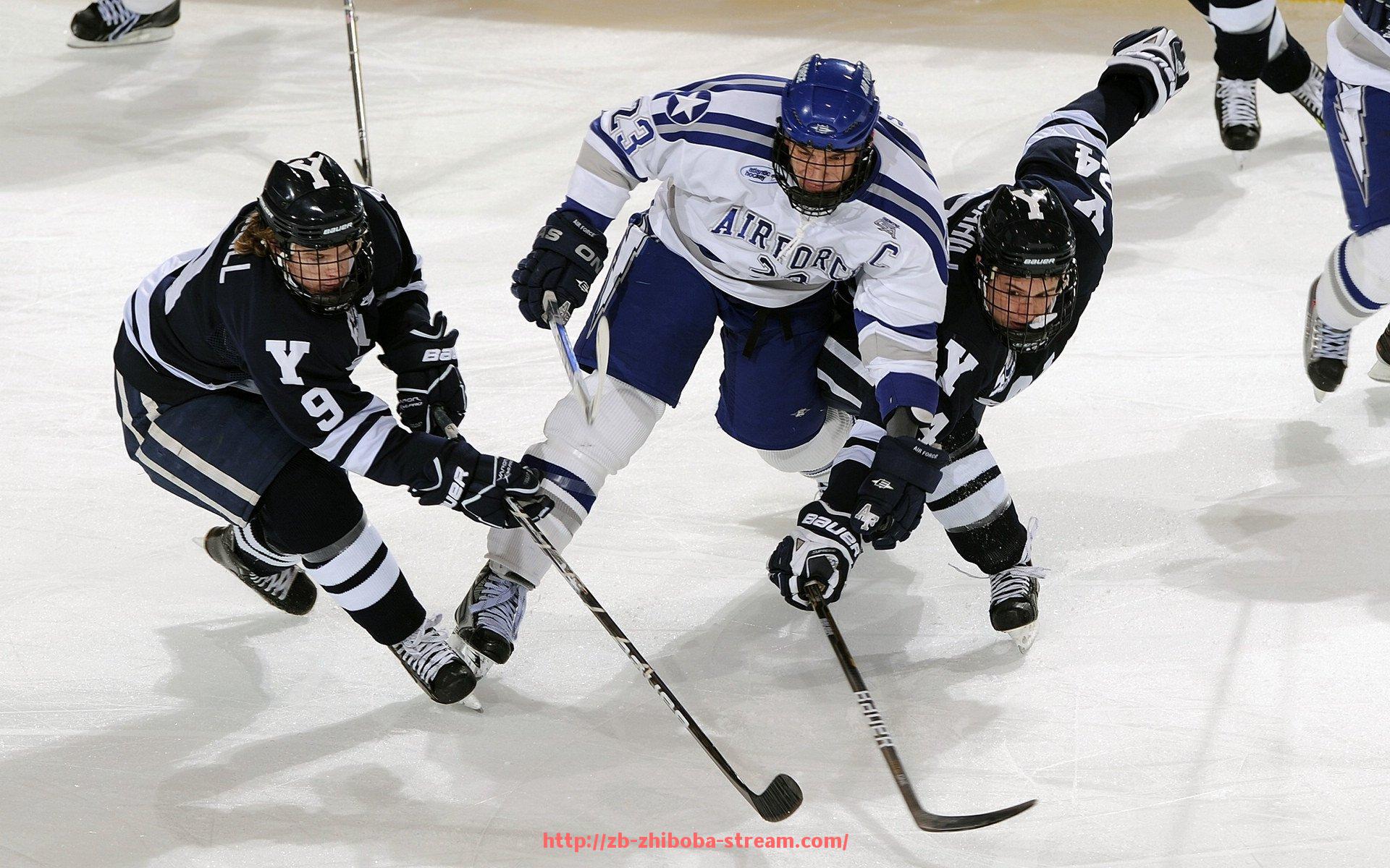 直播吧-2010年意甲球队综合排名及赛季回顾